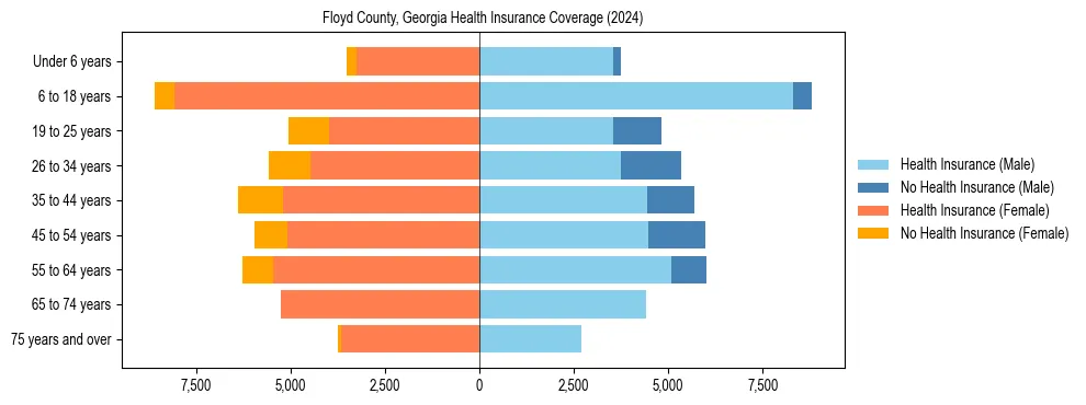 Health insurance pyramid for Floyd County, Georgia