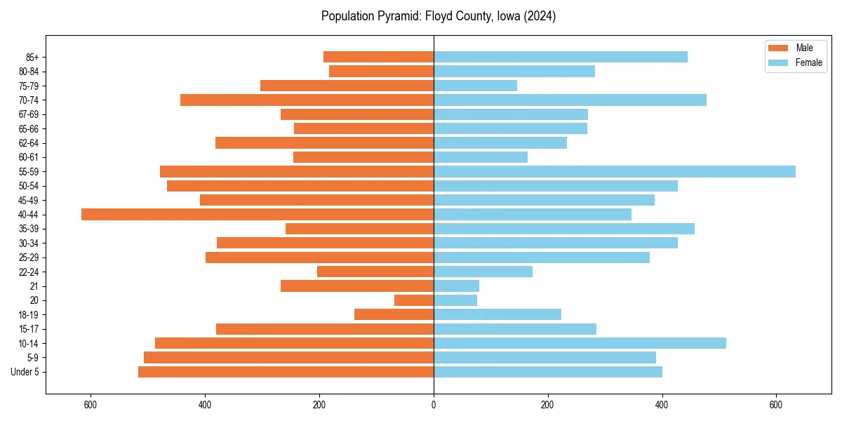Population pyramid for 