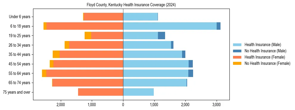 Health insurance pyramid for Floyd County, Kentucky