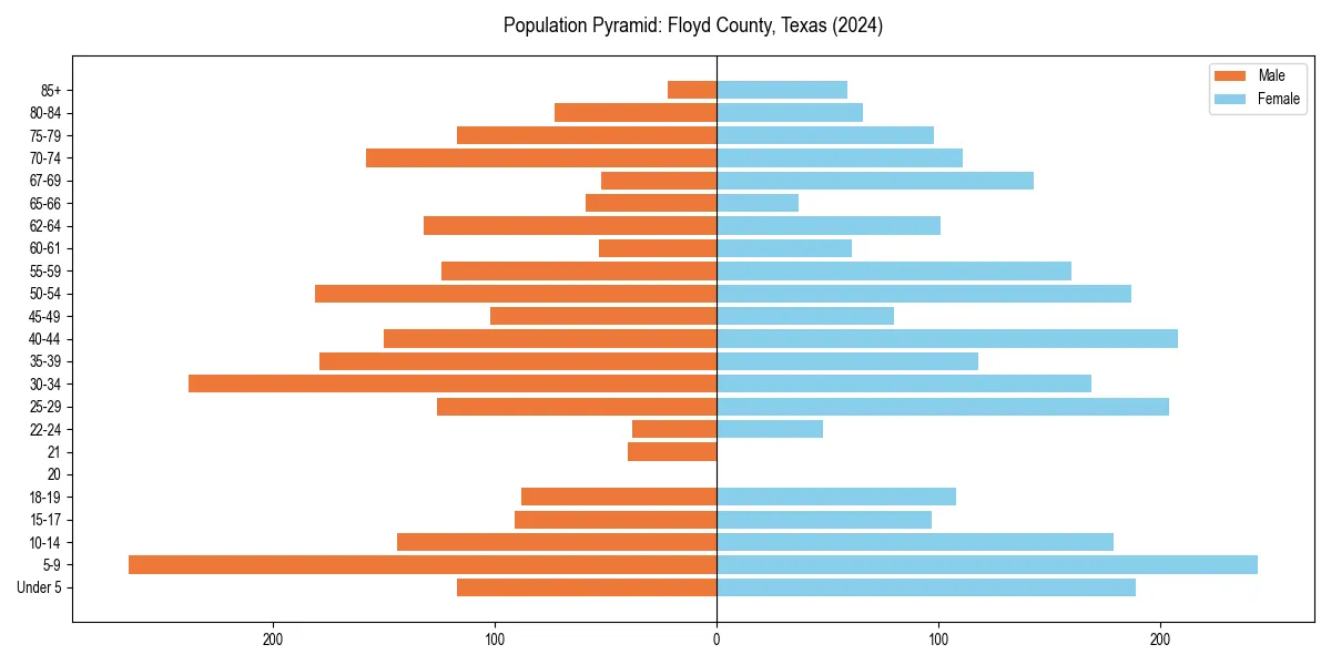 Population pyramid for 
