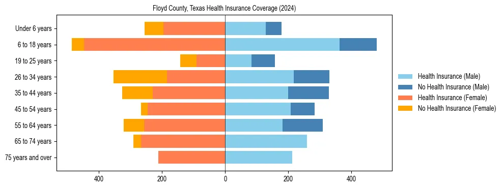Health insurance pyramid for Floyd County, Texas