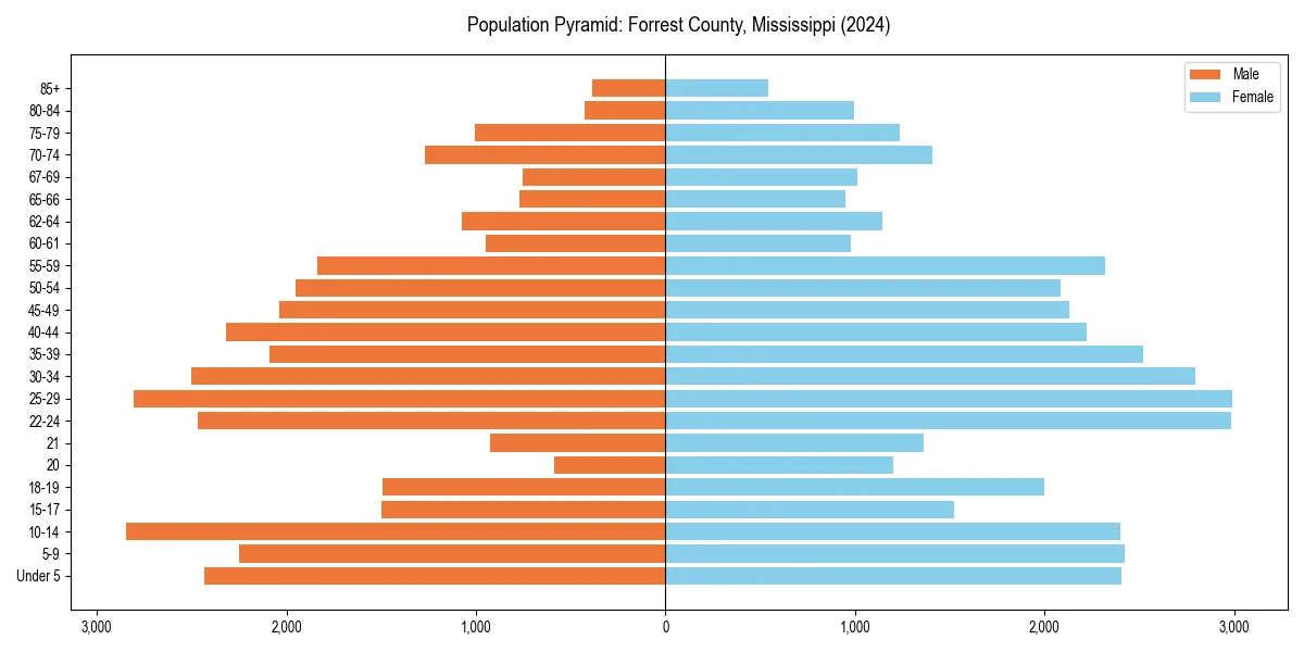 Population pyramid for 