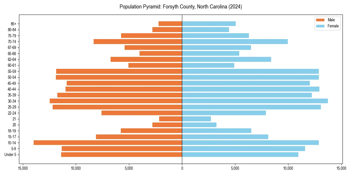 Population pyramid for 