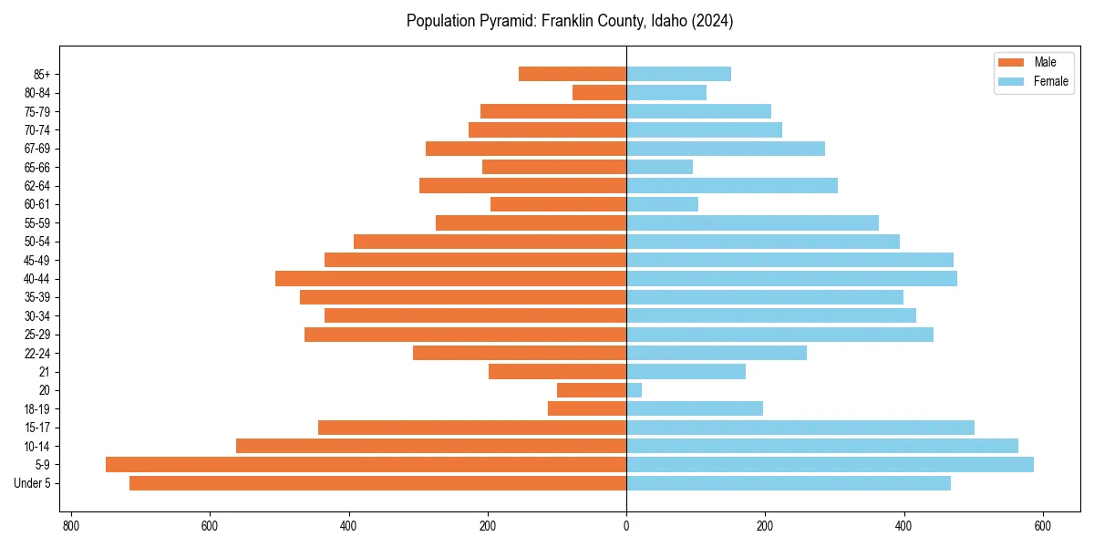 Population pyramid for 