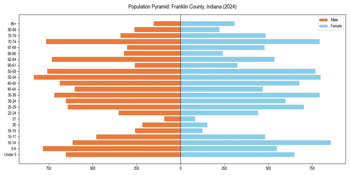 Population pyramid for 