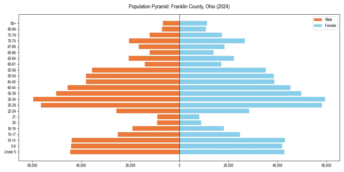 Population pyramid for 