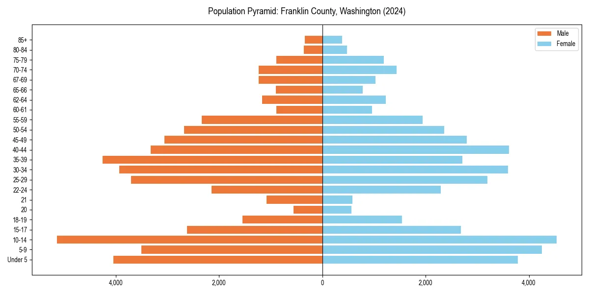 Population pyramid for 