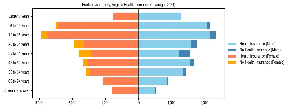 Health insurance pyramid for Fredericksburg city, Virginia