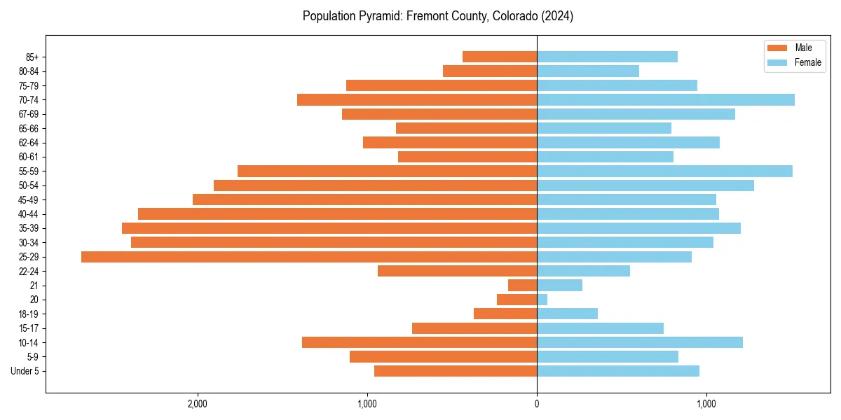 Population pyramid for 