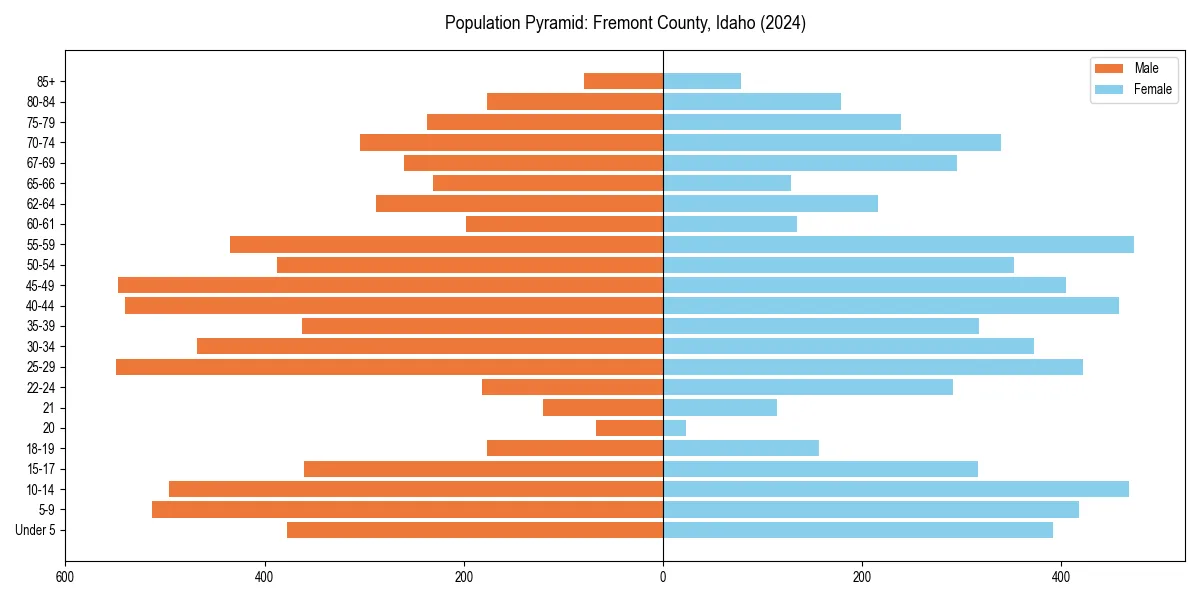 Population pyramid for 