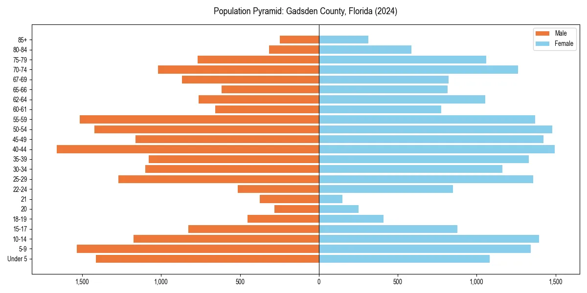 Population pyramid for 
