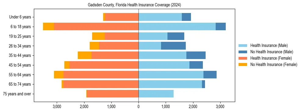 Health insurance pyramid for Gadsden County, Florida
