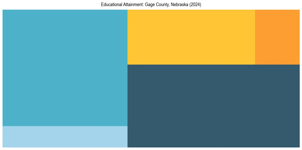 Education Treemap for  in 2024