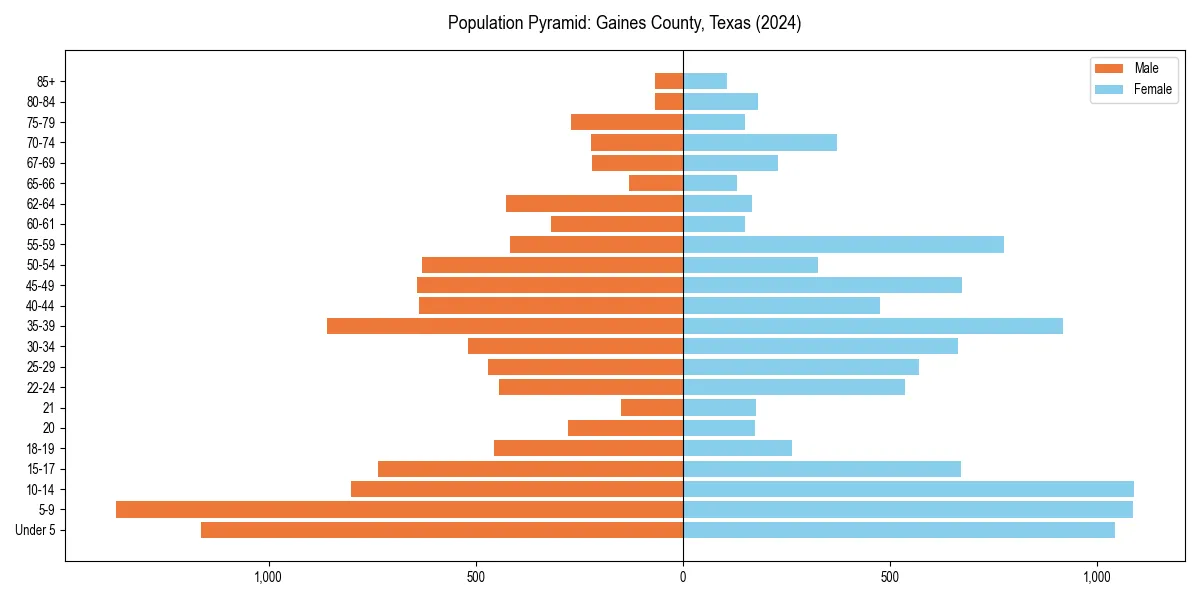 Population pyramid for 