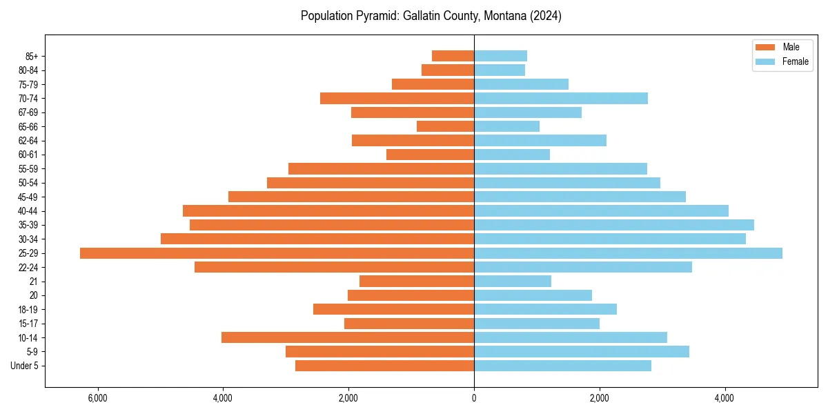 Population pyramid for 