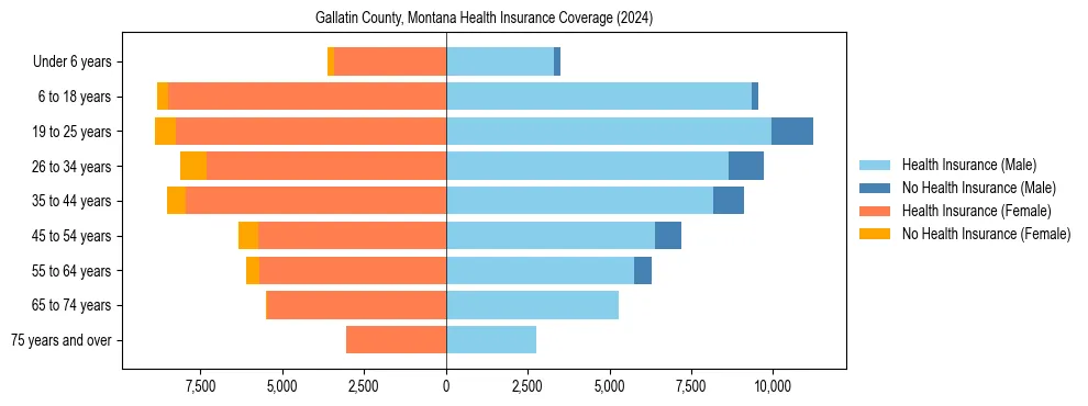 Health insurance pyramid for Gallatin County, Montana
