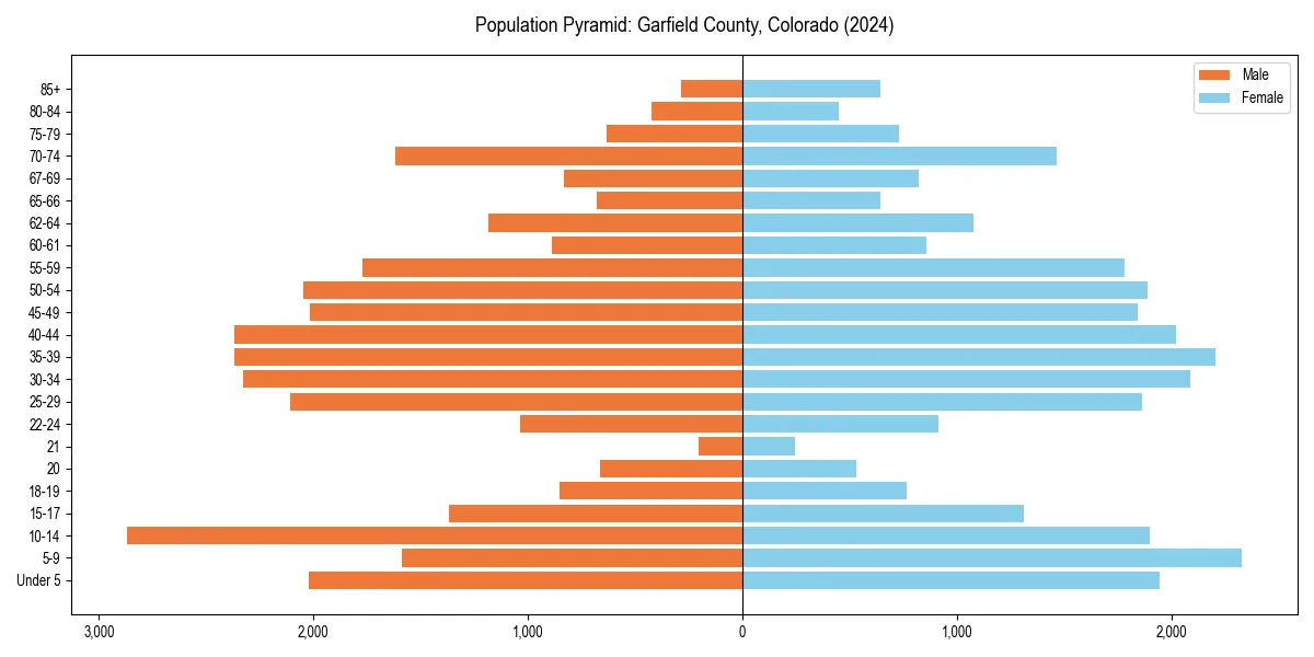 Population pyramid for 