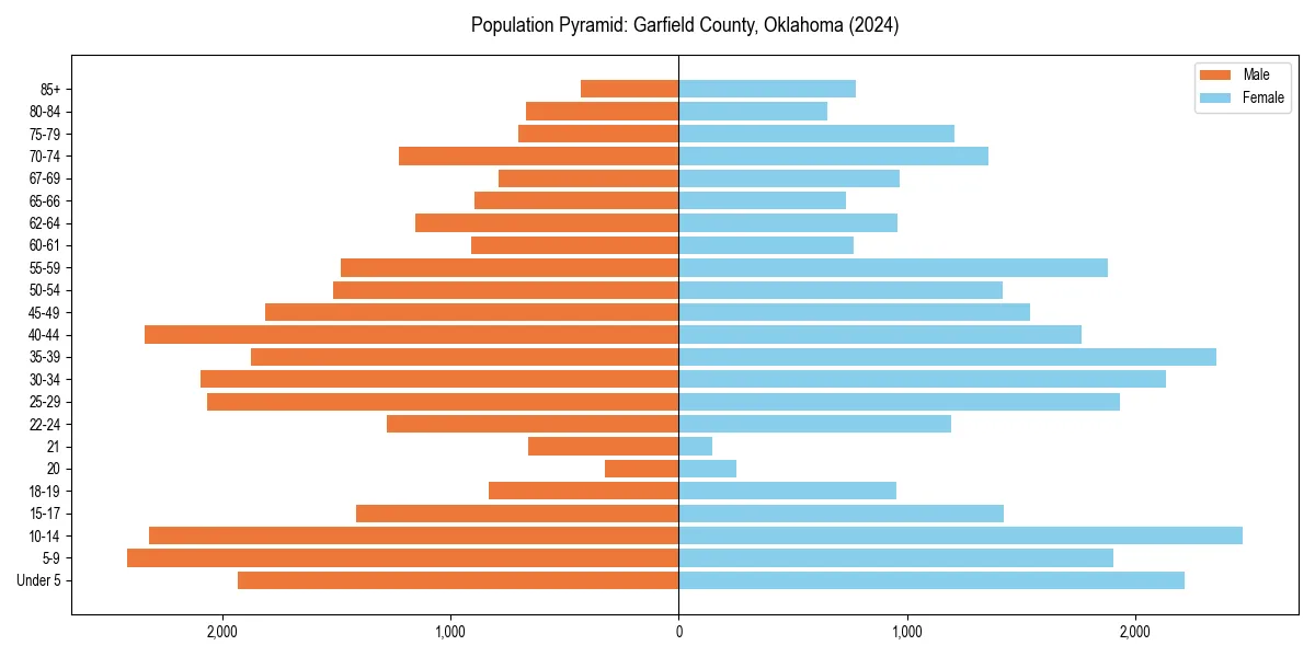 Population pyramid for 
