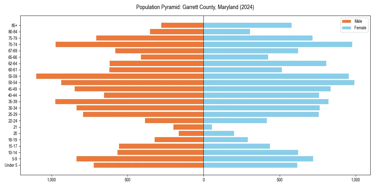 Population pyramid for 