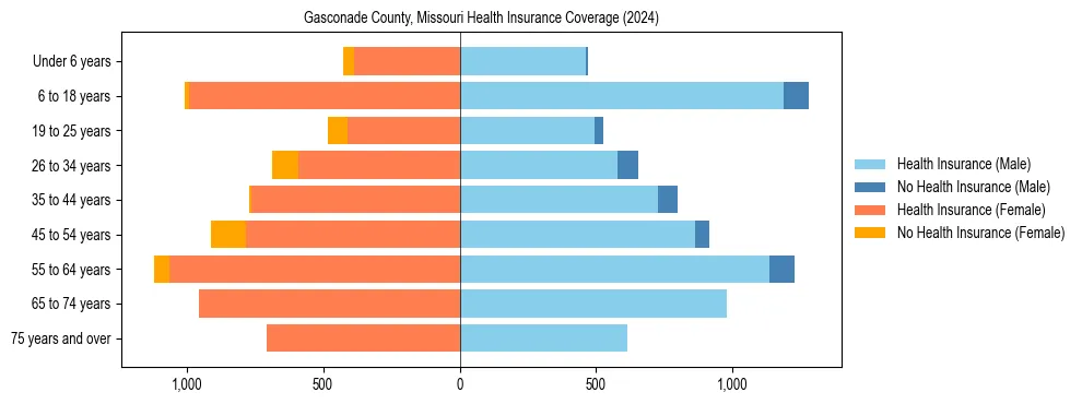 Health insurance pyramid for Gasconade County, Missouri