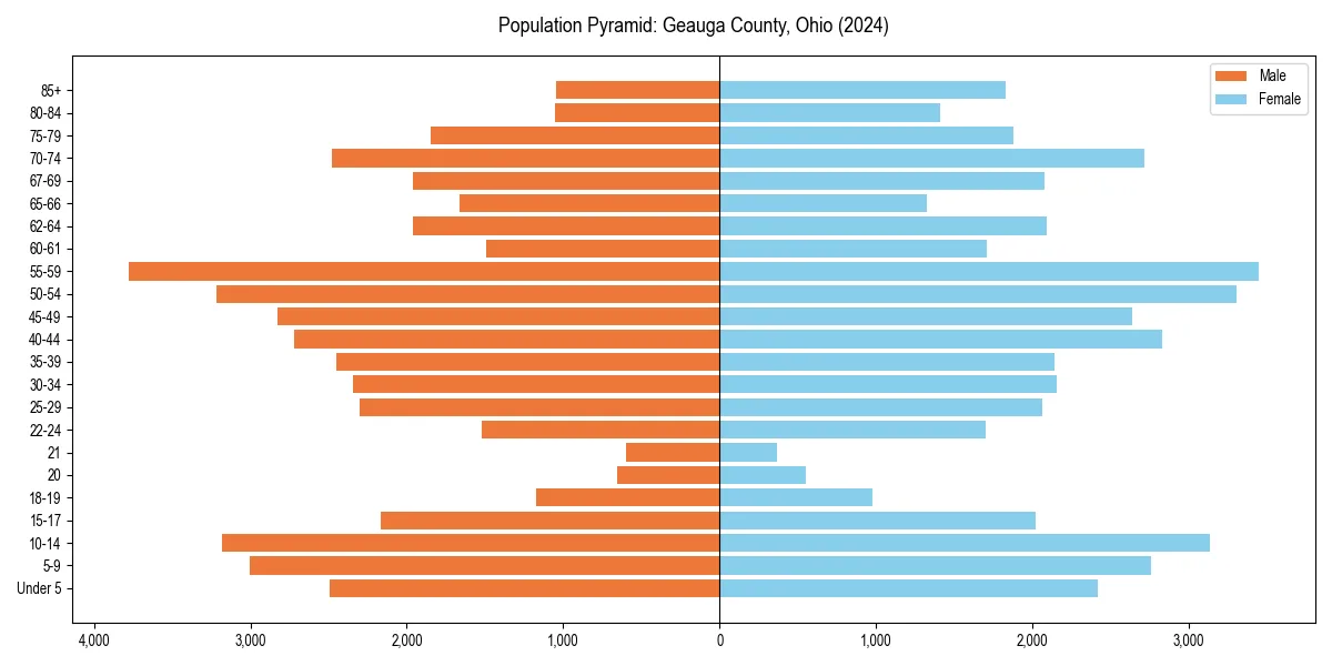 Population pyramid for 