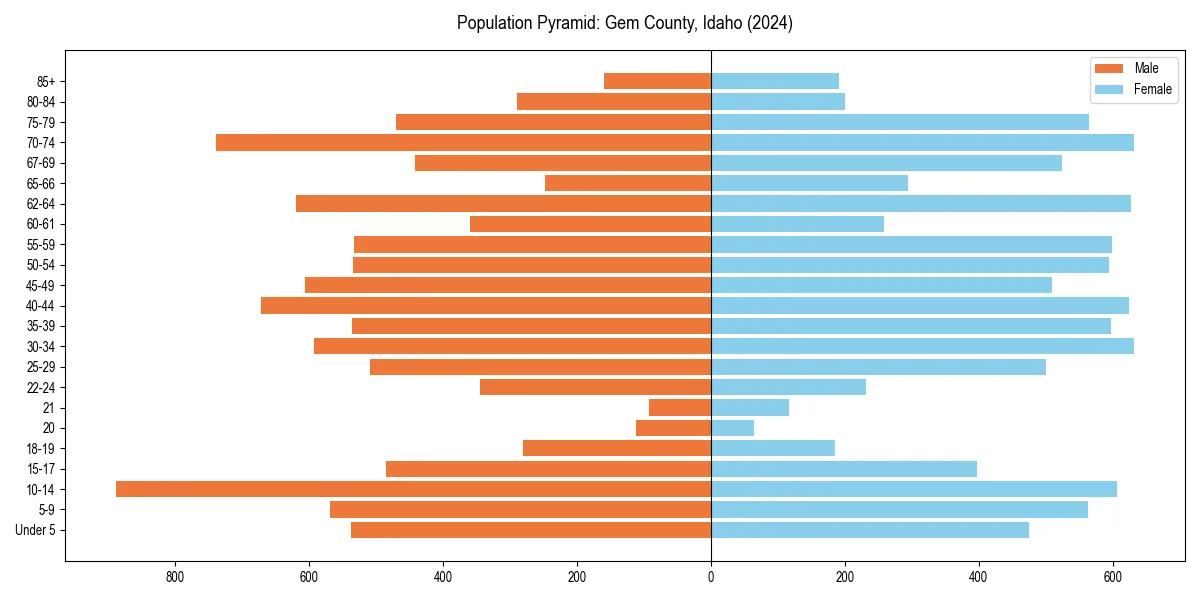Population pyramid for 