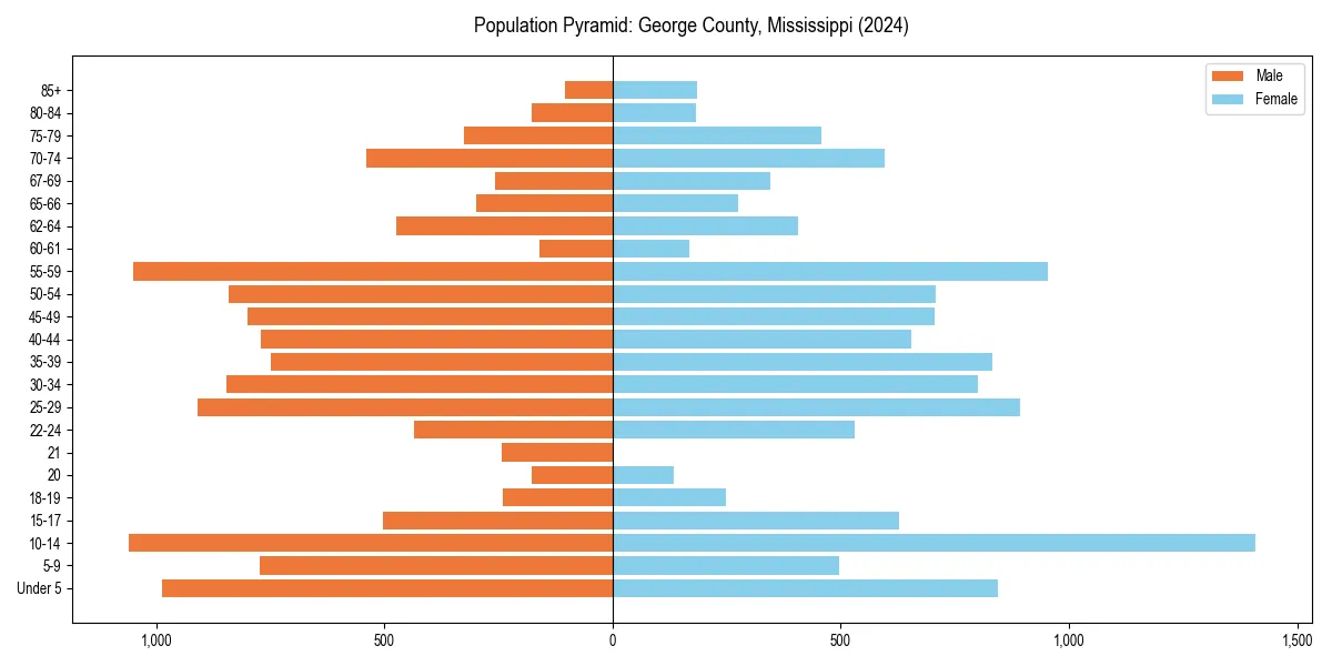 Population pyramid for 