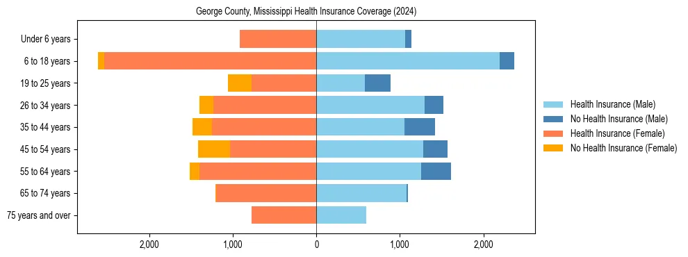 Health insurance pyramid for George County, Mississippi