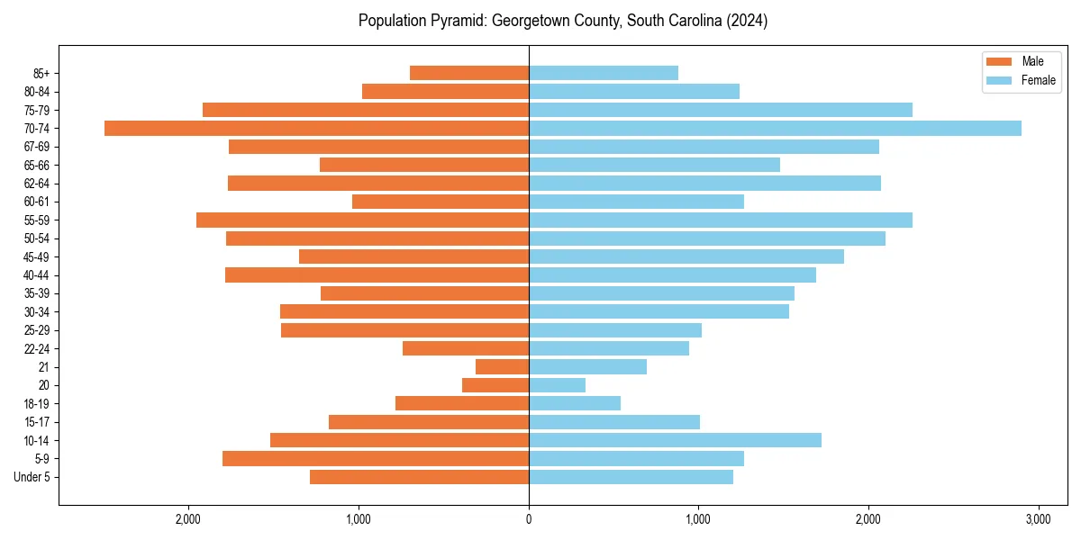 Population pyramid for 