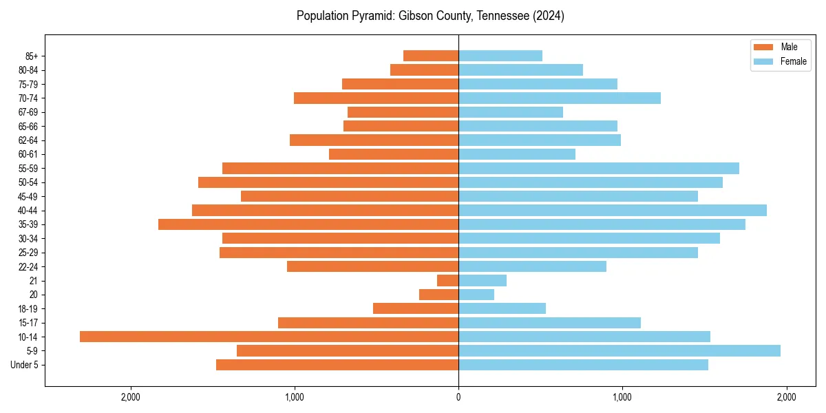 Population pyramid for 