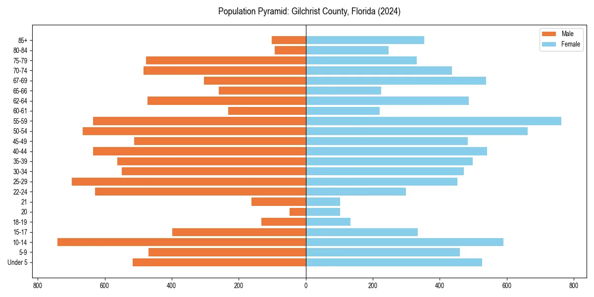 Population pyramid for 