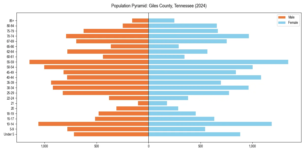 Population pyramid for 