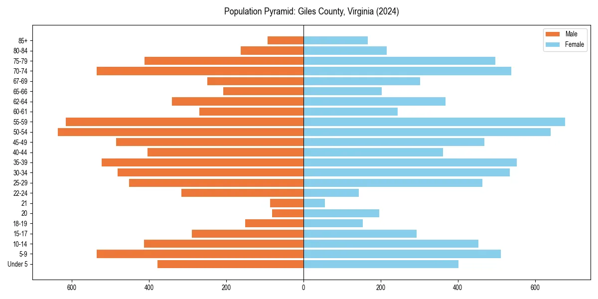 Population pyramid for 