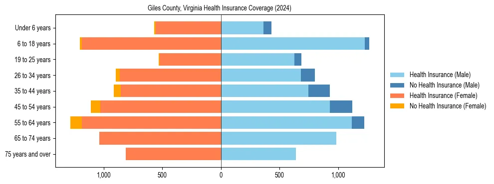 Health insurance pyramid for Giles County, Virginia