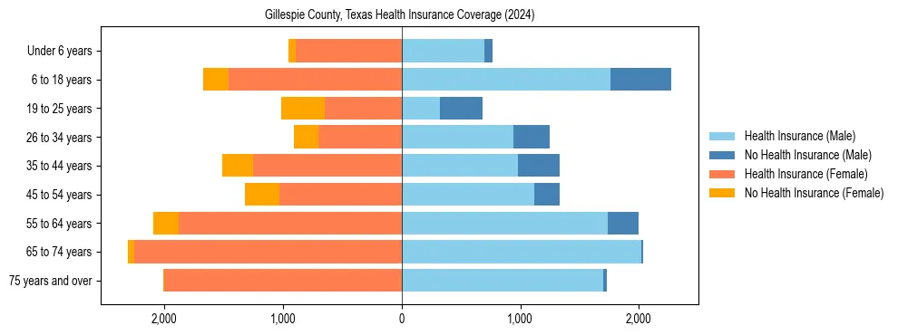 Health insurance pyramid for Gillespie County, Texas