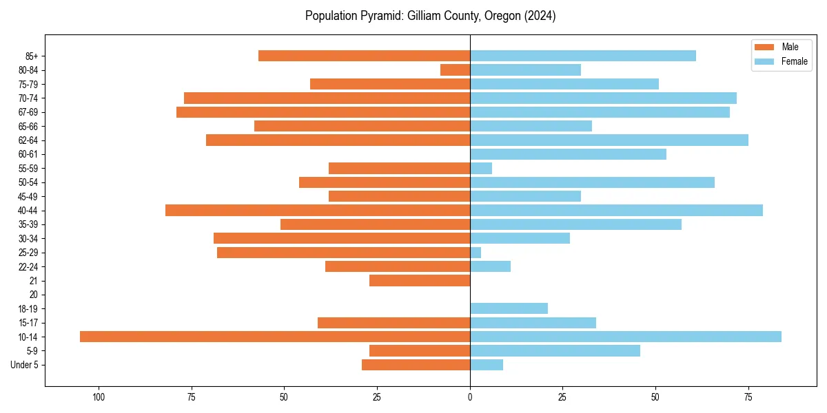 Population pyramid for 