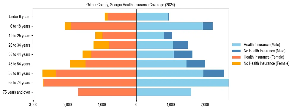 Health insurance pyramid for Gilmer County, Georgia