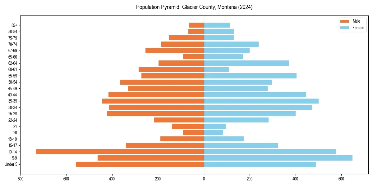 Population pyramid for 