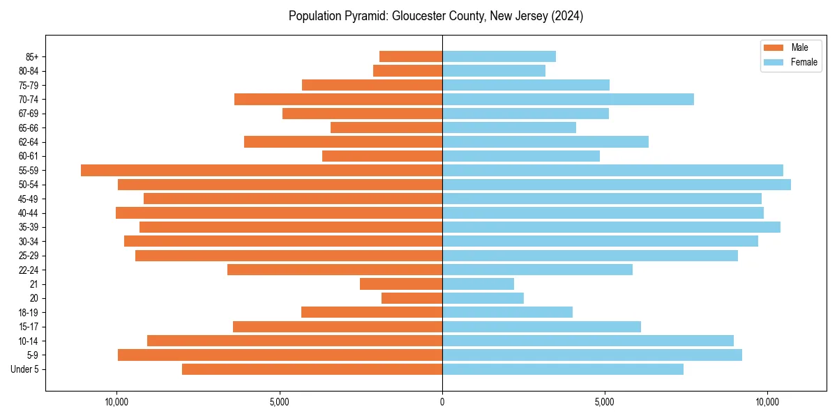 Population pyramid for 