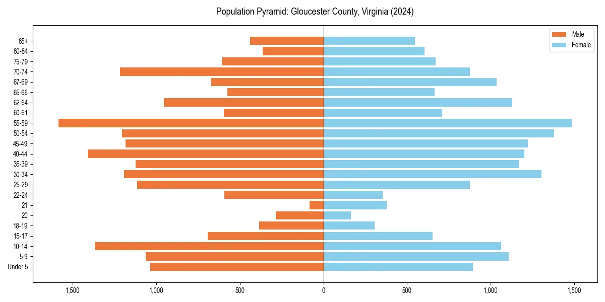 Population pyramid for 