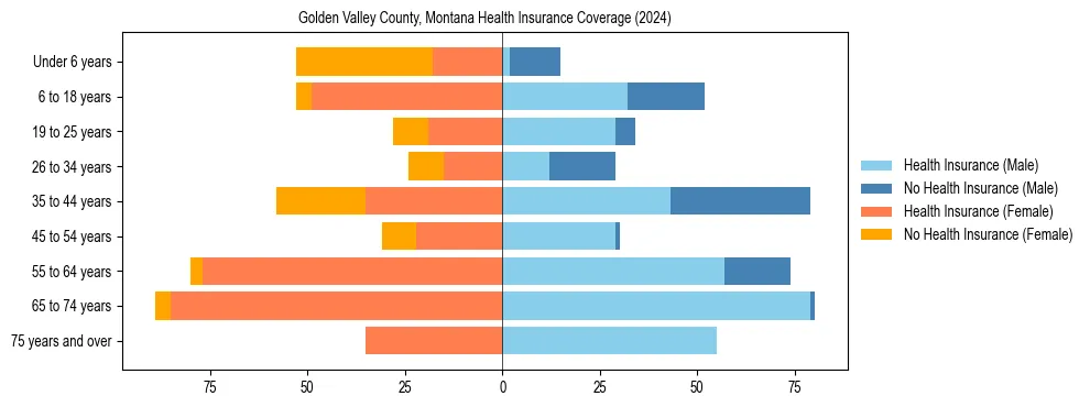 Health insurance pyramid for Golden Valley County, Montana