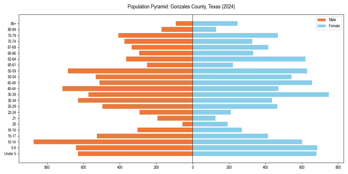 Population pyramid for 