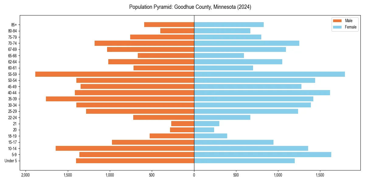 Population pyramid for 