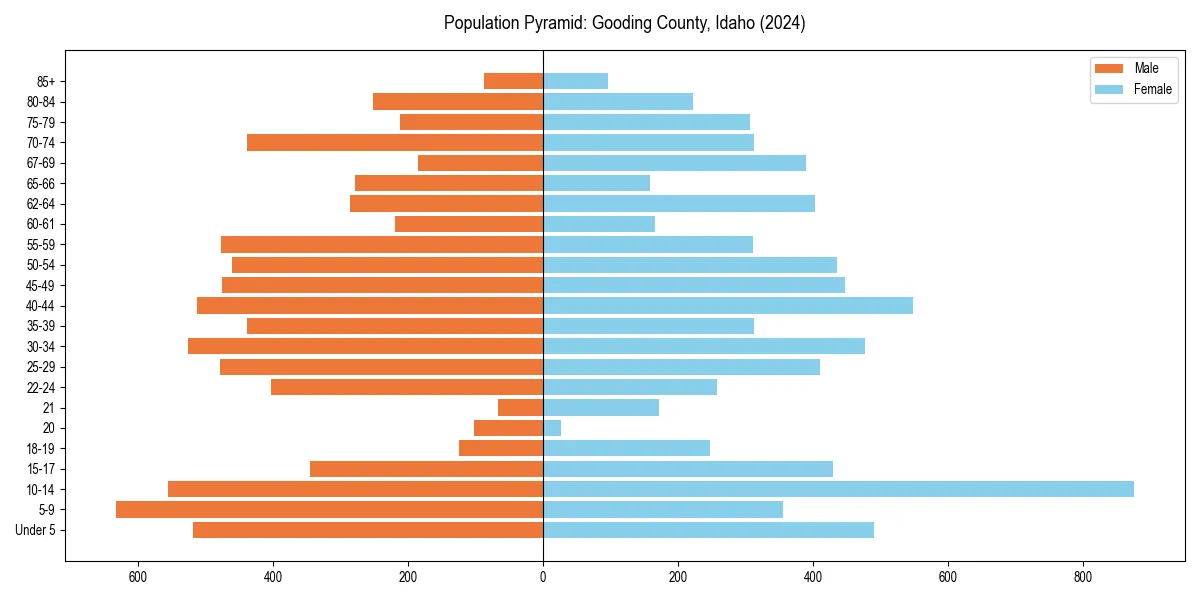 Population pyramid for 