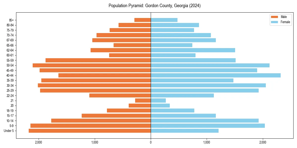 Population pyramid for 