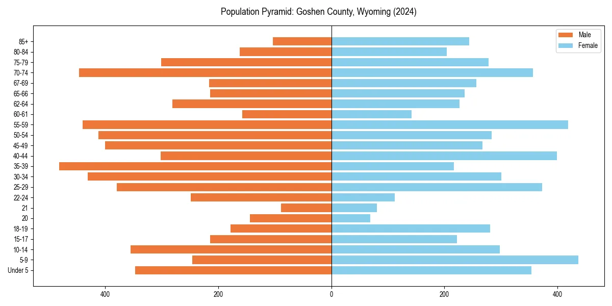 Population pyramid for 