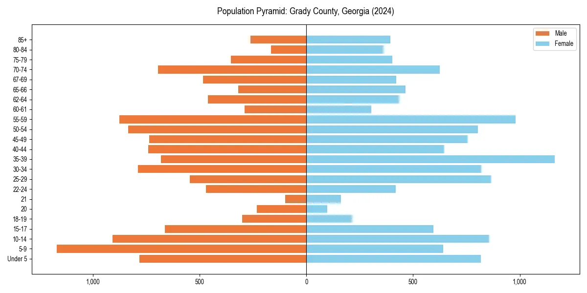 Population pyramid for 