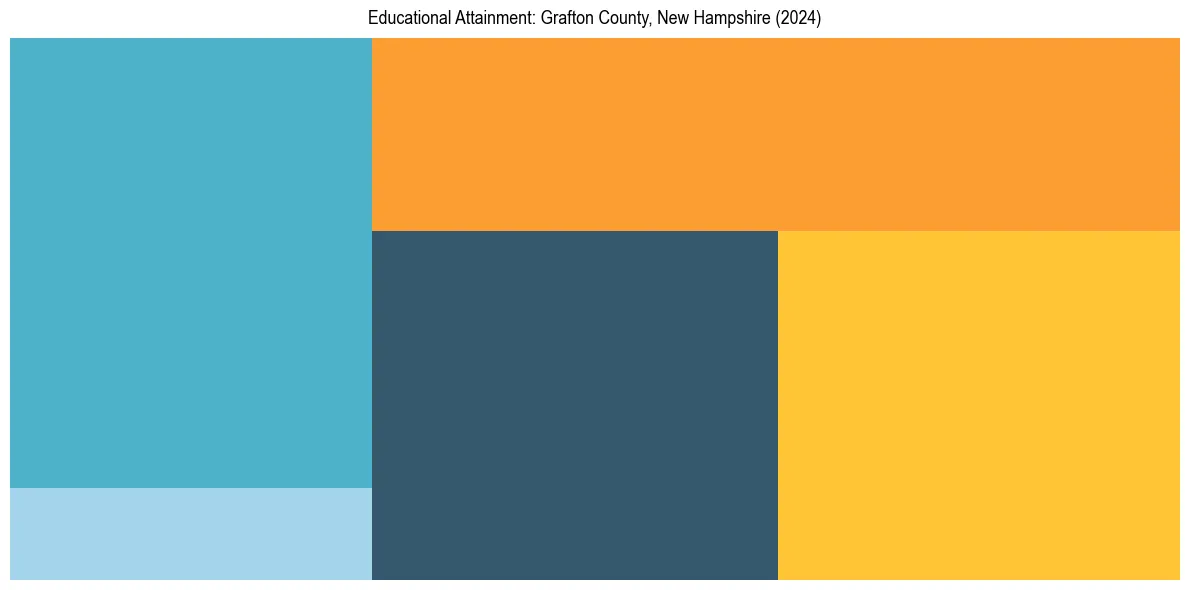 Education Treemap for  in 2024