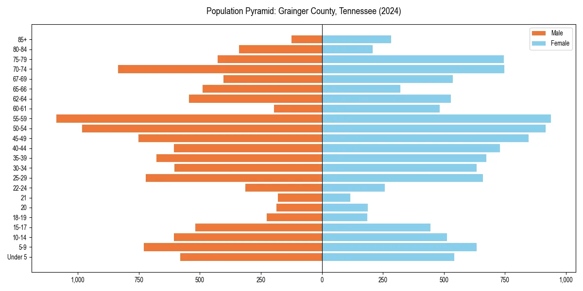 Population pyramid for 