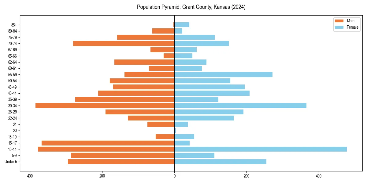 Population pyramid for 